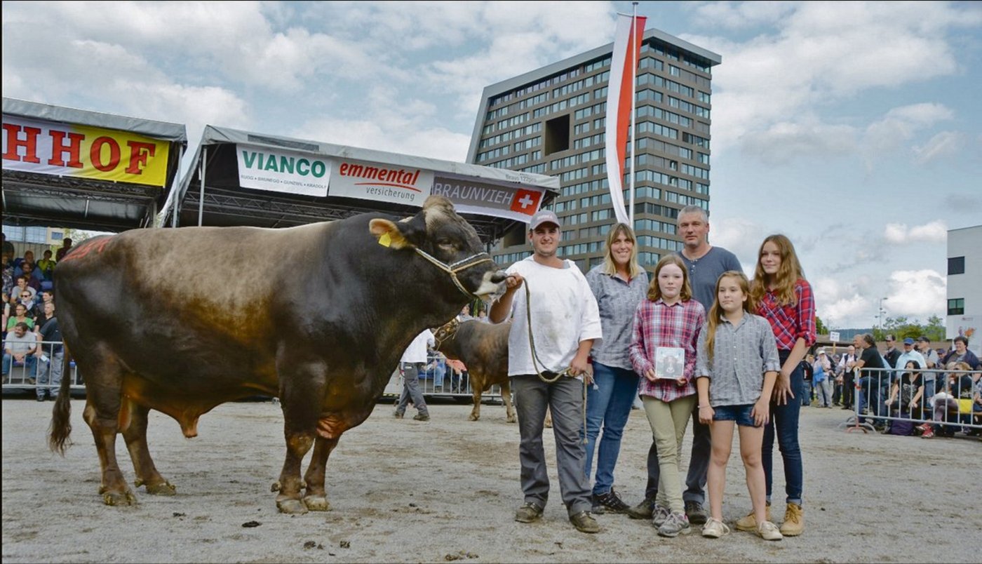 Im Jahr 2017 wurde der damals siebenjährige Glenn Marc von Josef Kiser aus Ennetmoos NW zum Mister ZM Zug beim Braunvieh gekürt.(Bild Andrea Gysin)