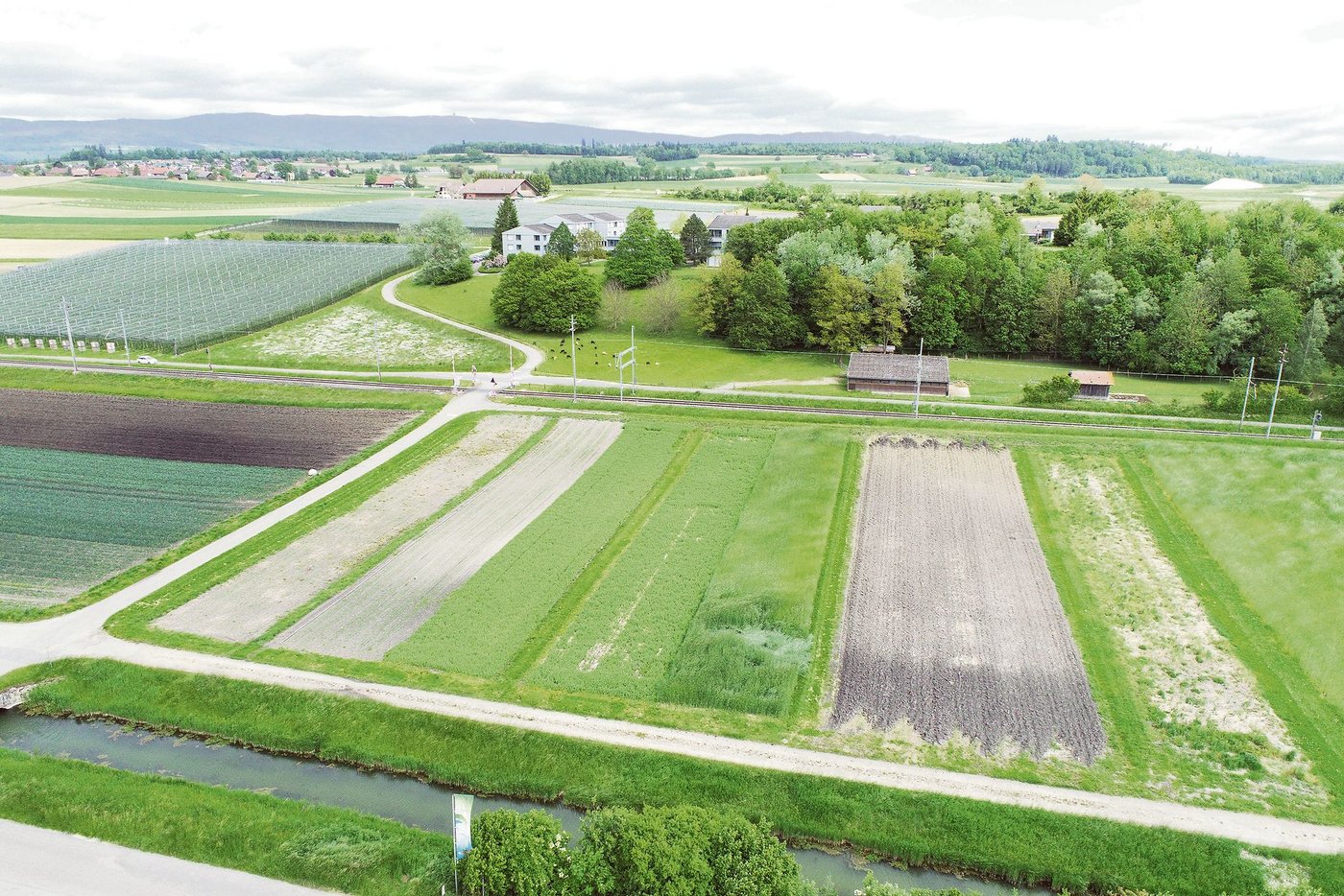 Am Inforama Seeland werden herkömmliche und reduzierte Bodenbearbeitung in Gemüsekulturen verglichen. Die Luftaufnahme der Versuchsparzellen entstand im Mai dieses Jahres. (Bild Camille Minguely)
