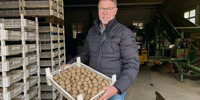 Erstmals baut Daniel Erb in diesem Jahr mit SH C 1010 eine Chips-Sorte an. «Diese schnitt bei den Sortenversuchen gut ab und soll trockenheitsresistenter als andere Sorten sein.»