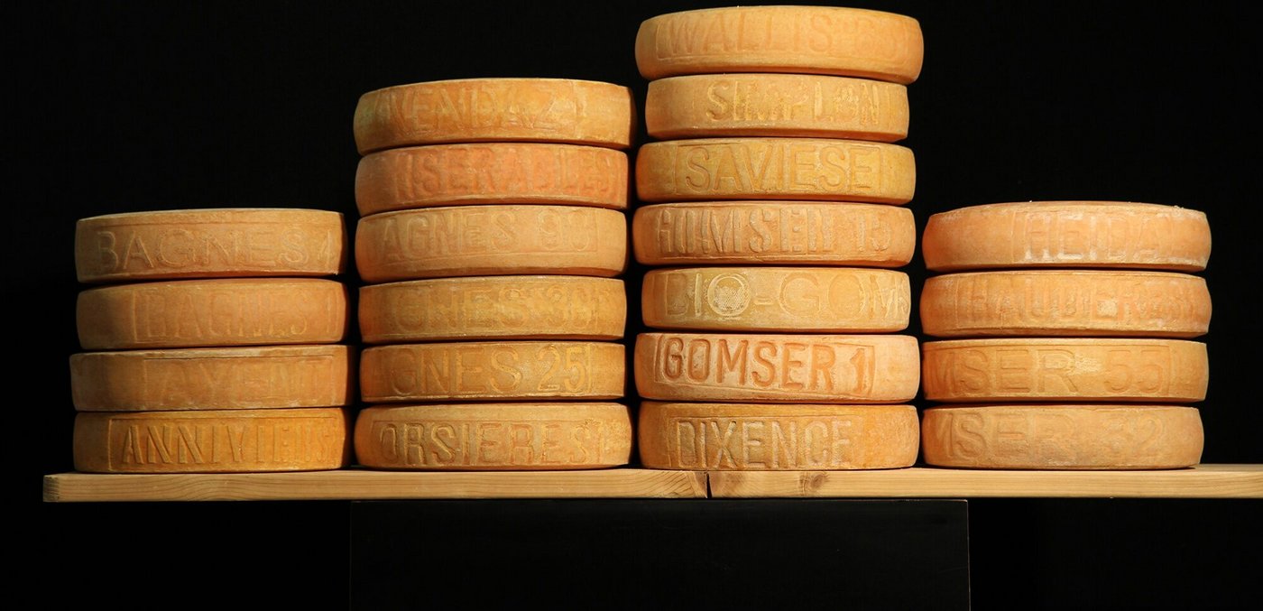 21 Raclette-Laibe aus verschiedenen Käsereien wurden von Agroscope untersucht, um den Charakteristiken dieser Sorte auf die Spur zu kommen. (Bild Agrosocpe / N. Fehér)