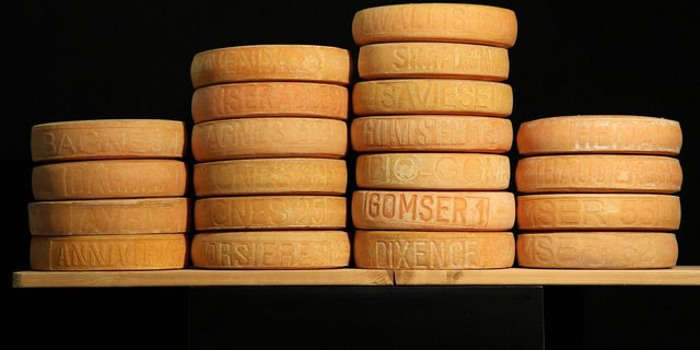 21 Raclette-Laibe aus verschiedenen Käsereien wurden von Agroscope untersucht, um den Charakteristiken dieser Sorte auf die Spur zu kommen. (Bild Agrosocpe / N. Fehér)