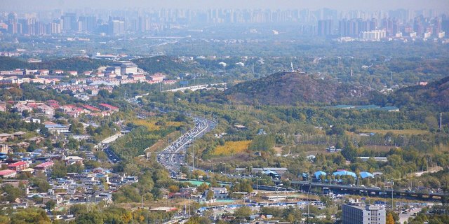 China verbraucht weltweit am meisten Schweinefleisch. Daher sieht man offenbar die Versorgung damit als entscheidend für die Ernährungssicherheit in den Millionen-Städten an. (Bild Pixabay)