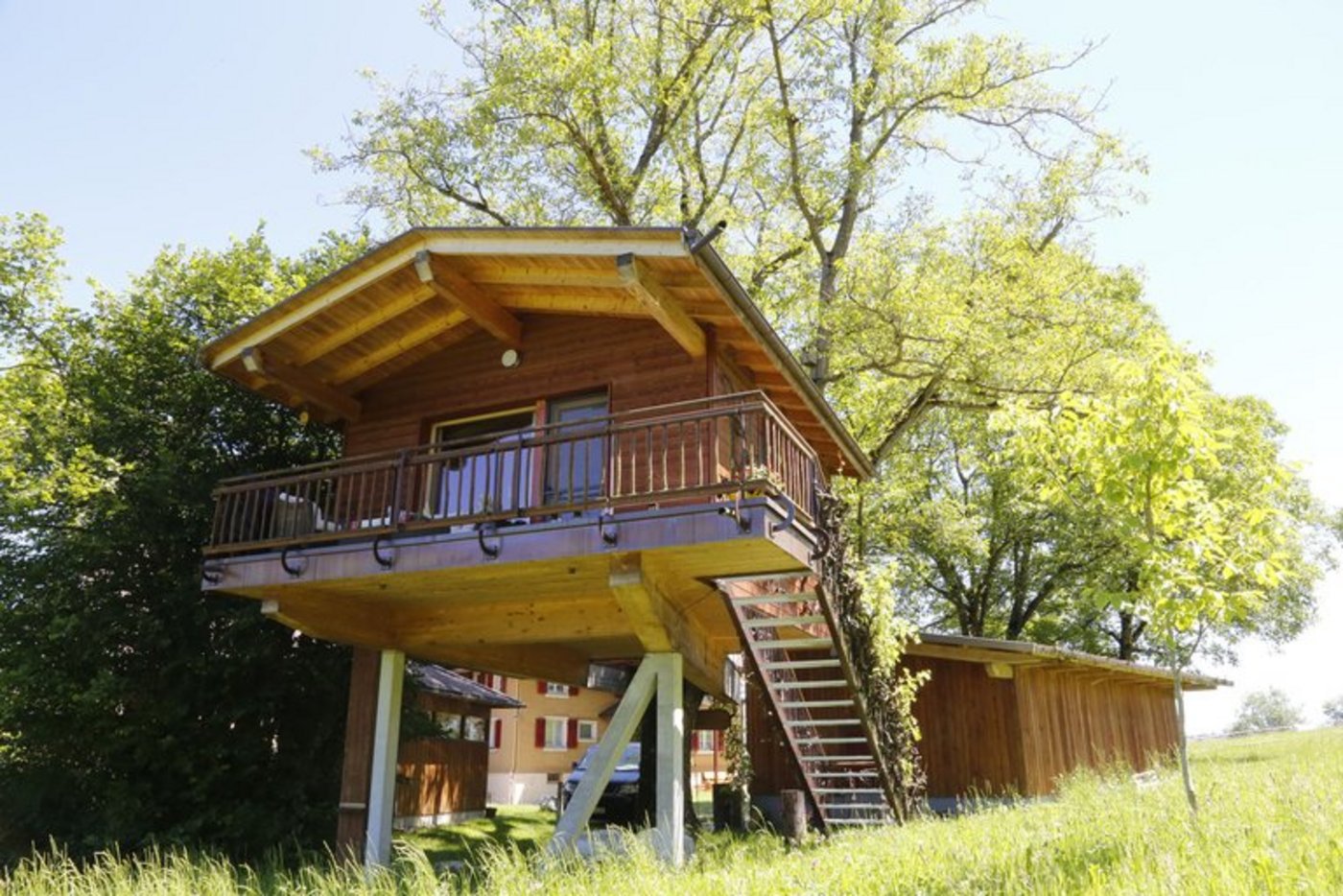 Vielfältiger Agrotourismus: Wurzelbaumhaus. (Bild lid)