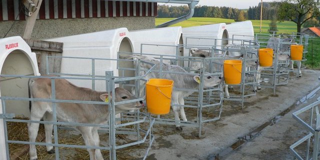 Mit dem Projekt soll unter anderem ein Beitrag zur Antibiotikareduktion geleistet werden. (Bild Peter Zieger)