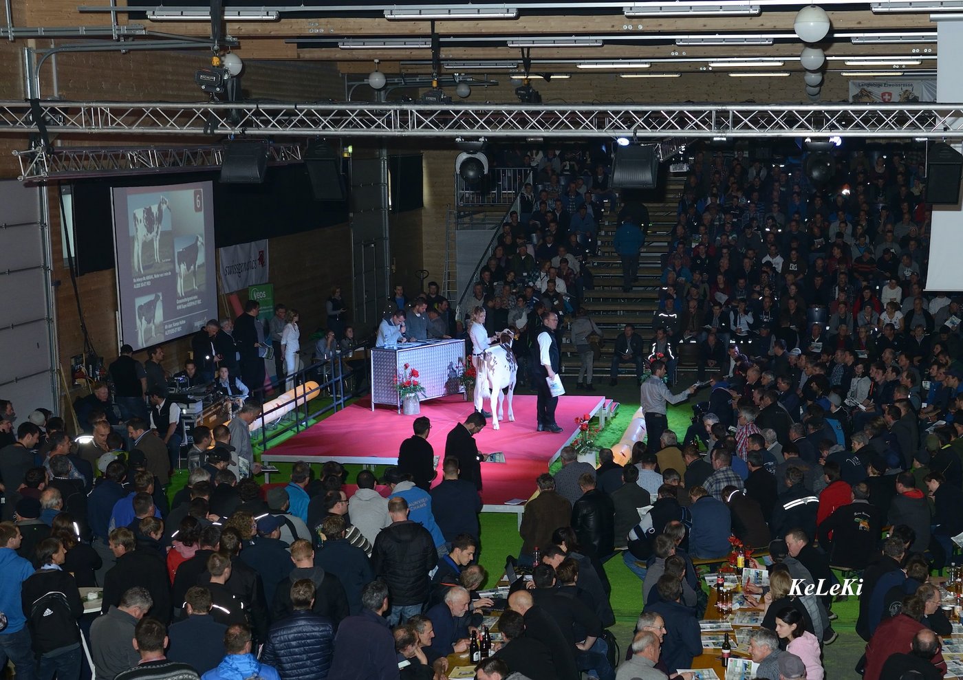 Auch die Auktion «Top Sale» wird in diesem Jahr nicht stattfinden. (Bild Swissgenetics)