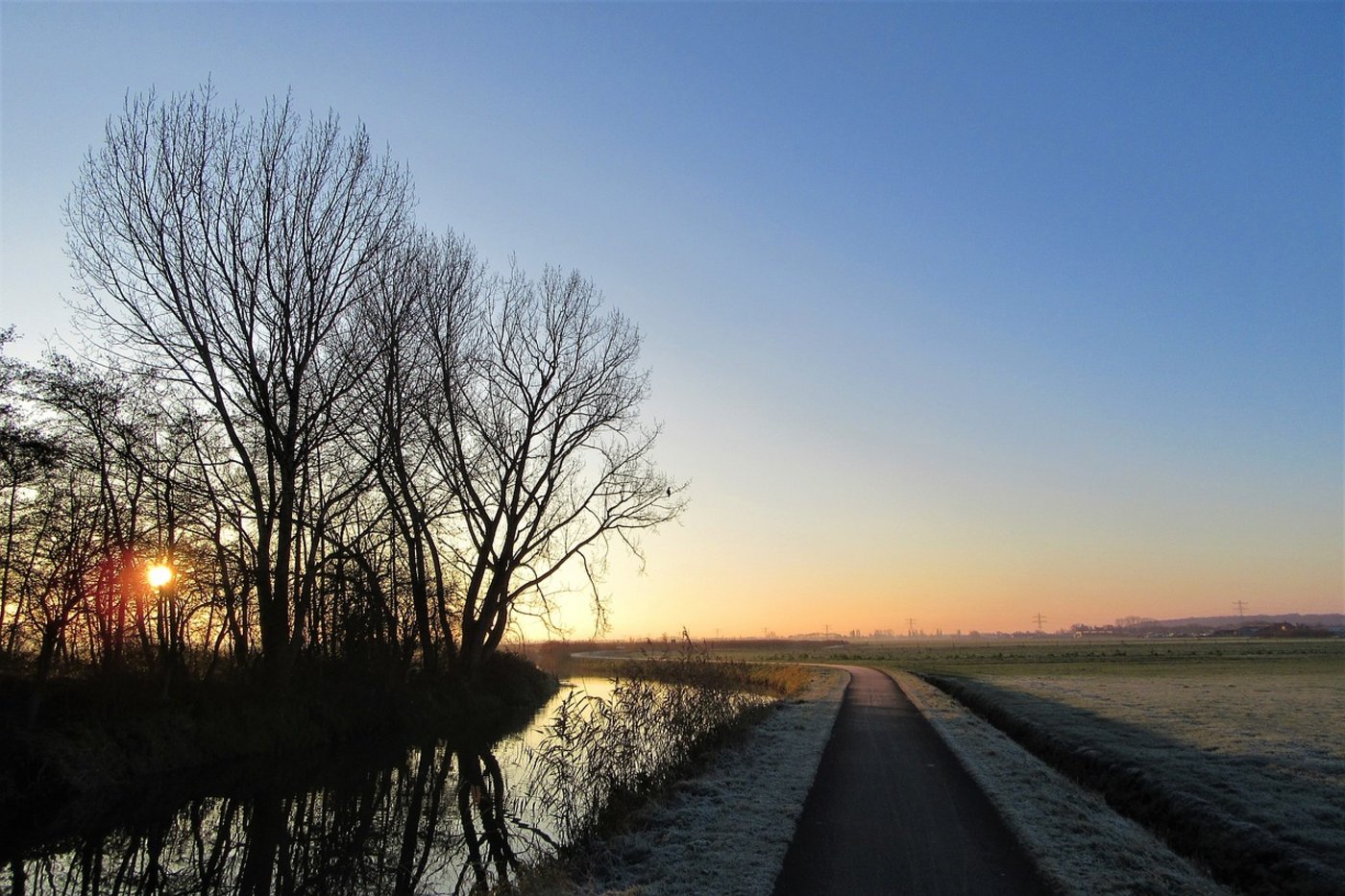 Die Debatte über die Pflanzenschutz-Initiativen hätte die Möglichkeit geboten, über das gewünschte Ernährungssystem der Zukunft zu diskutieren. Stattdessen werde ein sinnloser Krieg geführt, bedauert Uniterre. (Bild FotoRieth / Pixabay) 