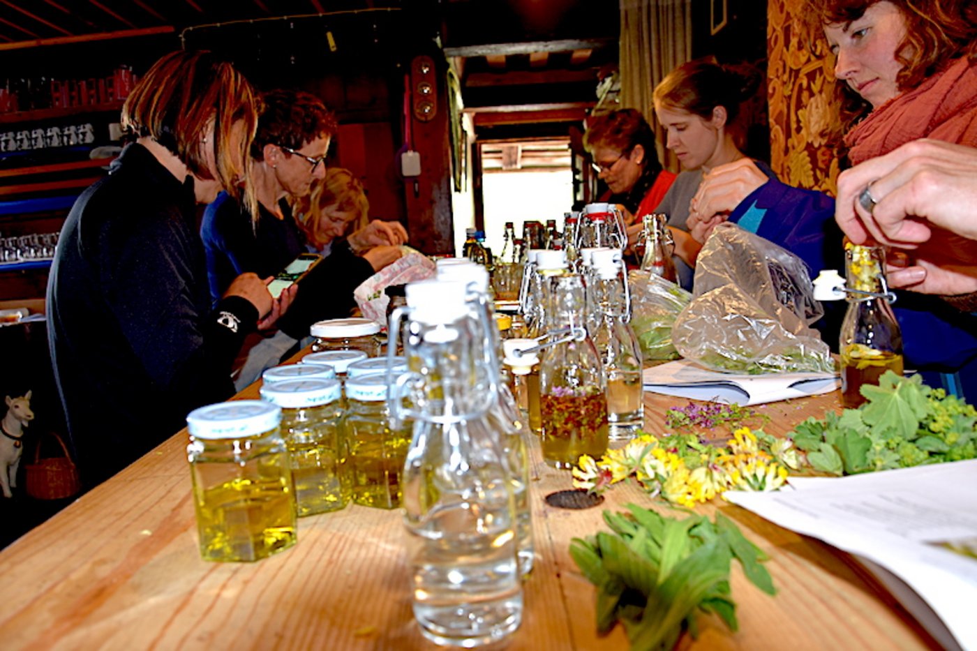 Gemeinsam etwas machen verbindet. Die «Magie der Gruppe» spürt man nicht nur beim Sammeln der Kräuter, sondern auch bei der Herstellung der Salben, Öle und Tinkturen.	(Bilder et)