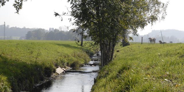 Der Kanton Schaffhausen sieht vor, 13.8 km Gewässerabschnitte aufzuwerten. (Bild BauZ)