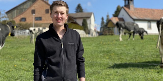 Kühe und Hühner seien seine Lieblingstiere, sagt Sascha Liechti. Besondere Freude hat er auch an Kälbern. (Bilder jsc)