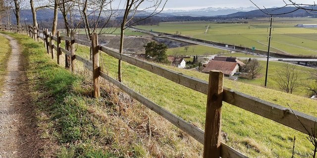 Holzzäune sind eine beliebte Massnahme für die Landschaftsqualitätsbeiträge. Ob diese Massnahme nach dem Zusammengehen von Landschaftsqualität und Vernetzung noch Bestand haben wird, wird sich weisen. 