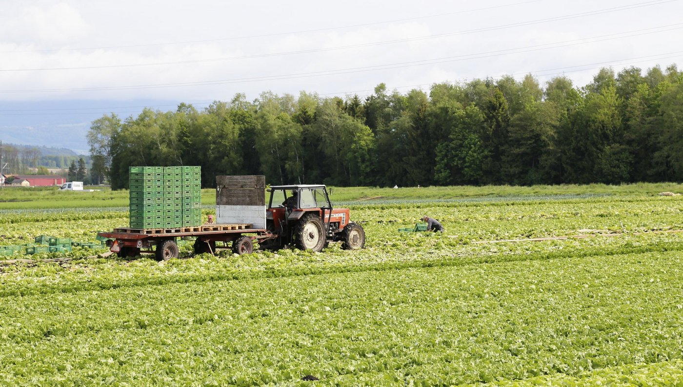 Mit dem offenen Brief wollen die Unterzeichnenden auch die Fenaco-Genossenschafter über ihre Empörung informieren. (Bild ji / lid) 