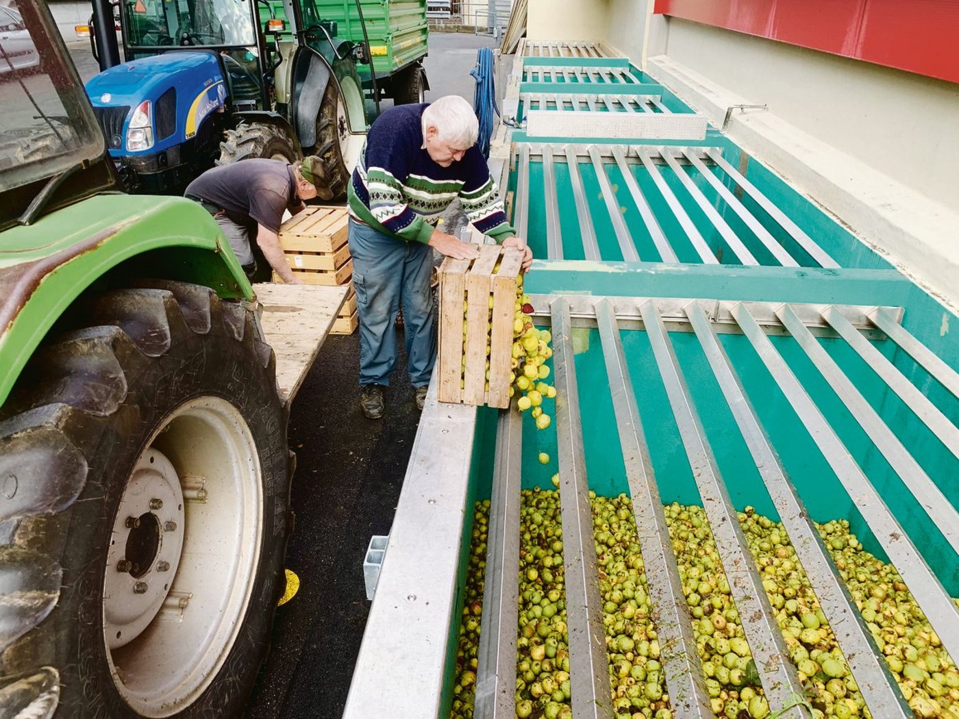 Bauern beim Leeren ihre Harassen mit reifen Mostbirnen Anfang Woche: Im Vergleich zum Vorjahr sind die Anlieferungen bei der Ramseier Suisse Mosterei in Sursee derzeit gering.  (Bild Josef Scherer)