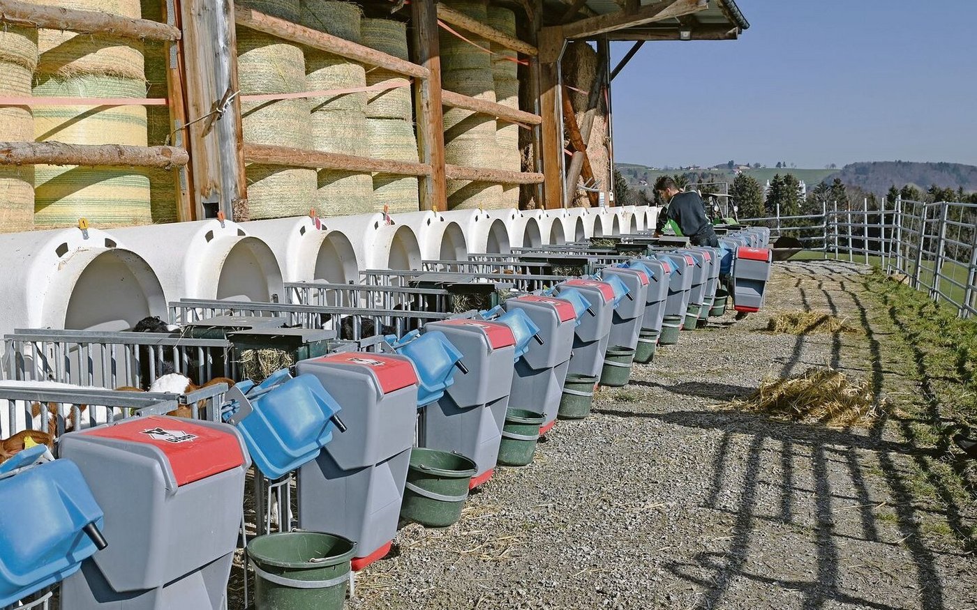 «Neue Entwicklungen in der Kälberhaltung Europas»: Nach einer Bürgerinitiative muss der Gesetzgeber über die Bücher.