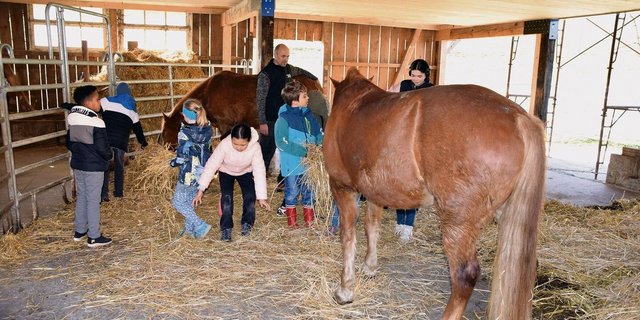 Mit «Schule auf dem Bauernhof» erhalten Schülerinnen und Schüler die Möglichkeit, während eines Hofbesuches in die Lebenswelt der Bauernfamilien einzutauchen. 
