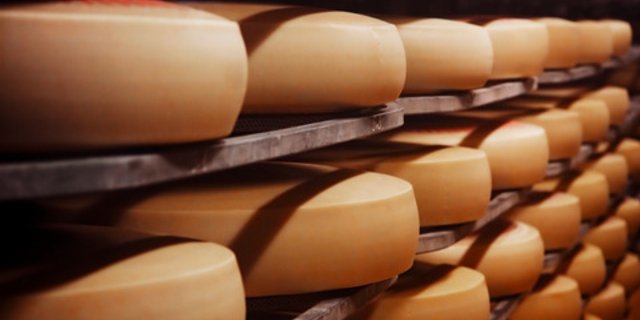 Die Verkäsungszulage wird pro Kilo verkäste Milch ausbezahlt und beträgt 15 Rappen. Daran gekoppelt sind ein Kontrollmechanismus und Inspektionen. (Bild iStock)