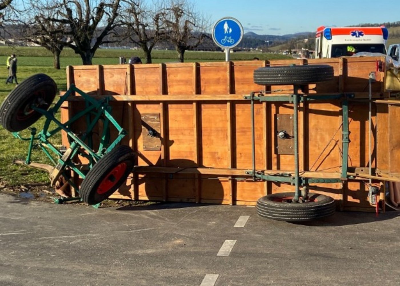 An der Kutsche entstand Sachschaden in der Höhe von rund 3000 Franken.