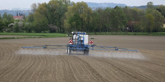 Am 13. Juni wird sowohl über die Pestizidverbots- als auch die Trinkwasser-Initiative abgestimmt. (Bild Pixabay)