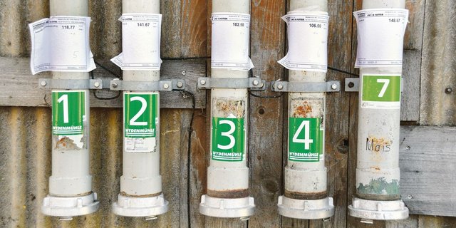 Die durchschnittlichen RP-Gehalte im Futter sind in allen Kategorien bei leicht steigenden Energiegehalten gesunken.