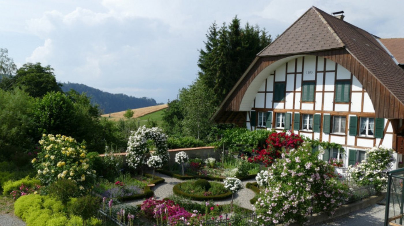 Der Bauerngarten von Sandra Flückiger im bernischen Utzigen gehört zum Erhalternetzwerk von Pro Specie Rara. Hier wird Saatgut alter Sorten gewonnen und so deren Erhalt gesichert. (Bild offenergarten.ch) 
