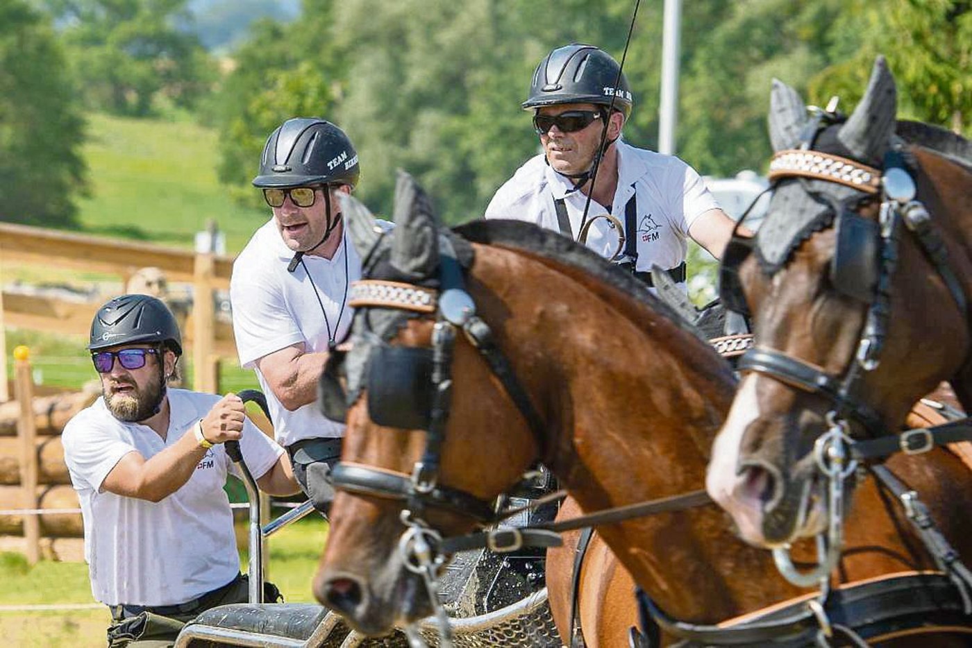 Willy Birrer an den Leitseilen, begleitet von Landwirt Beat Limacher (Mitte), Wiggen LU, und Pirmin Durrer, Kerns LU.(Bild Photoflix)