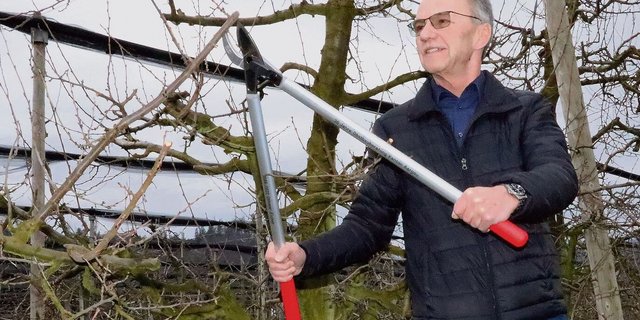 Othmar Eicher legt ein letztes Mal Hand in der Liebegger Obstanlage an. Die Baumschere bekam er zum Abschied.