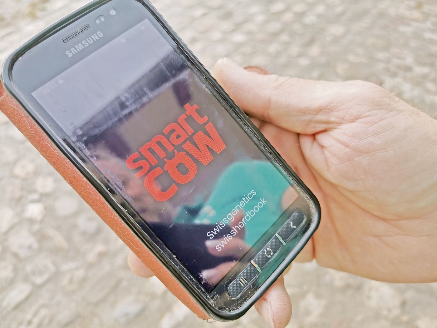 Die Digitalisierung hat viele Facetten, eine davon ist die Aufzeichnung der Betriebsdaten in Systemen wie «Smart Cow». Weitere werden folgen. (Bild sb)