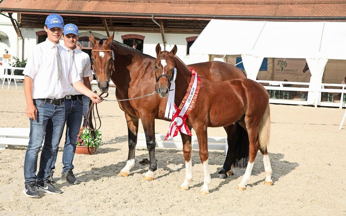 Mathias (links) und Michael Wüthrich präsentierten das Hengstfohlen Namir BW aus dem Hengst Never BW und der Stute Hamara, einer Tochter von Norway. Auch bei den Stutfohlen hatte die Familie Wüthrich grossen Erfolg und belegte mit Mirabel BW den zweiten Rang.