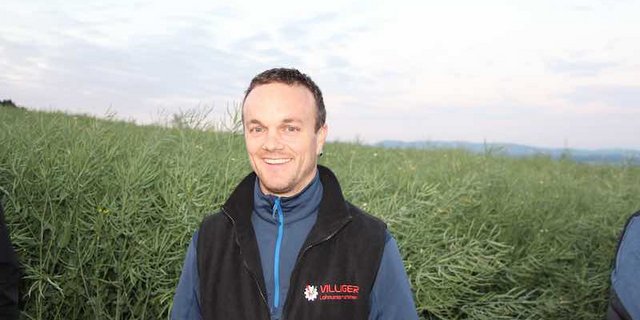 Landwirt und Lohnunternehmer Marcel Villiger steht vor dem Raps der Sorte Trezzor auf dem Tönihof. Der Raps verspricht eine reiche Ernte. (Bild rü)