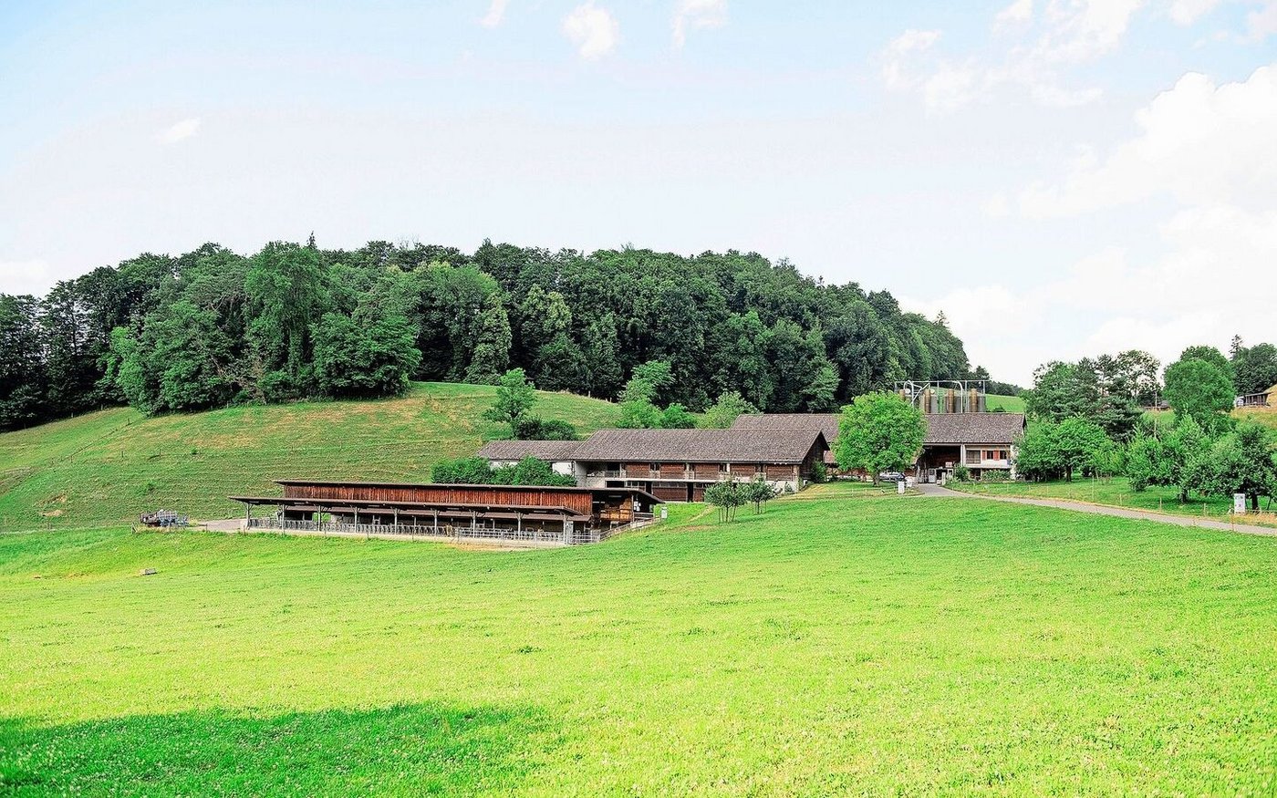 Der AVB Liebegg, im Vordergrund der Mutterkuhstall. Der Baustart des Projekts «Future Liebegg» ist im Jahr 2027 geplant. Dann wird sich das Erscheinungsbild des Schulareals und des AVB verändern.