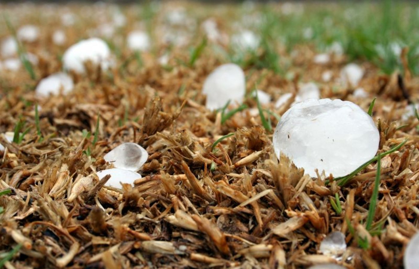 In einigen Regionen der Schweiz verursachte Hagel erneut Schäden. (Symbolbild Pixabay)