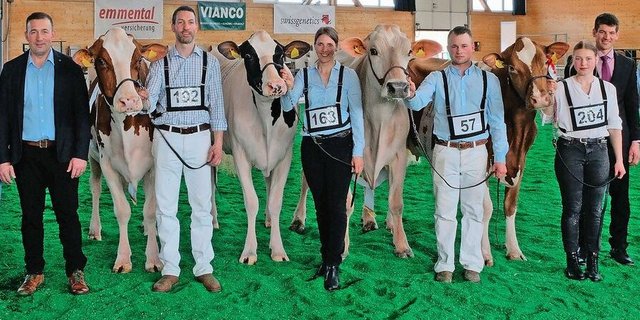 Die schönsten Aargauer Kühe der Rassen RH, HO, BS und SF zum Abschluss vereint.