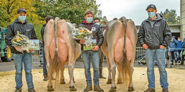 Jongleur Silvana (rechts), Grandchampion BS Eliteschau Entlebuch und Vize Jongleur Soraya. Mit Maske die Champion-Besitzer Pascal Felder, Franz Felder, Koni Pfulg (v. l. n. r.).(Bild Hugo Studhalter)