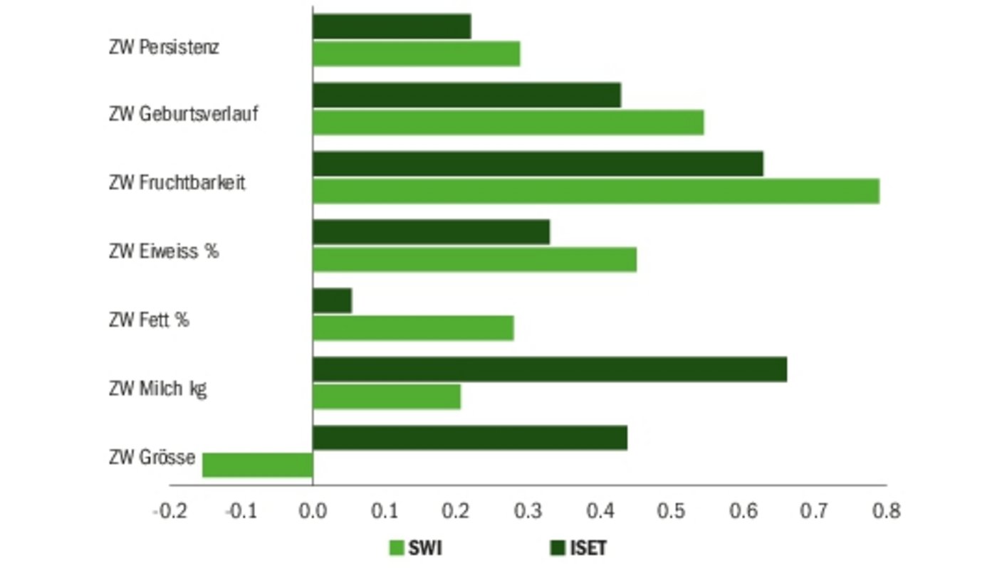 Die  besten KB-Stiere der Holstein und Red Holstein weisen gemäss Iset überdurchschnittliche Zuchtwerte für die Grösse auf. Die SWI-Stiere liegen näher bei der Basis der Rasse. (Grafik zVg)
