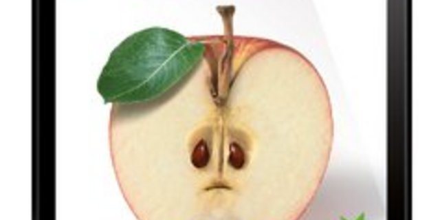 Die App ist bereits über eine halbe Million mal heruntergeladen worden. (Bild: zVg)