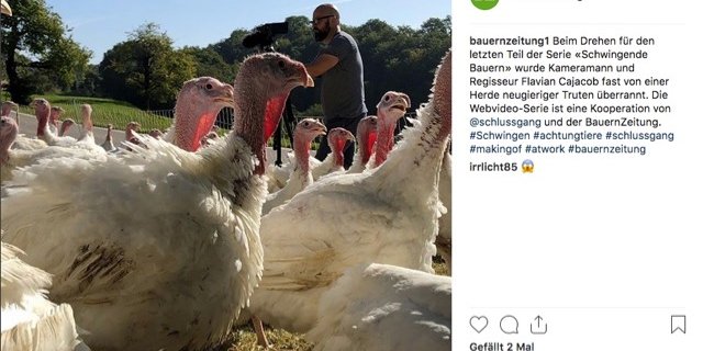 Achtung, die Truten kommen angerannt. Was die Journalisten der BauernZeitung bei ihrer täglichen Arbeit auf Schweizer Höfen und Feldern erleben, zeigen sie neu auf Instagram. (Bild Screenshot Instagram)