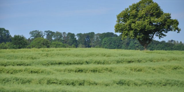 Symbolbild. (Bild BauZ)