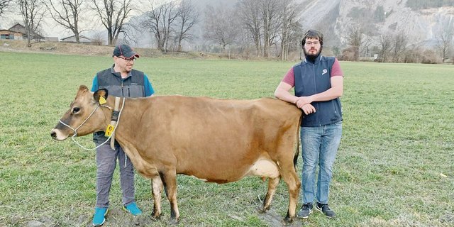 Die siebeneinhalbjährige Flamme wird auf dem Betrieb der Stiftung Plankis in Chur von allen geliebt. (Bild Johann Ulrich Salis)