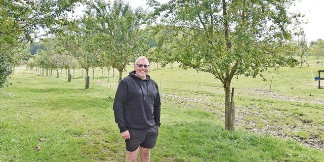 Stefan Sommer in einer seiner Hochstamm-Obstanlagen. Die Anlagen werden als Weiden für die Pferde genutzt.