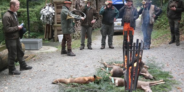Die Strecke im Revier Santenberg wird verblasen. Links Jagdleiter Beni Wirz, ganz rechts Jagdobmann Josef Achermann. (Bild Josef Kottmann)