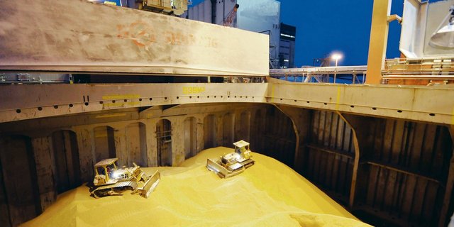 Aufnahme von einem Schiffsladeraum, der mit Sojaschrot gefüllt ist. In der Schweiz wird nur gentechfreie Soja verfüttert.(Bild Landpixel)