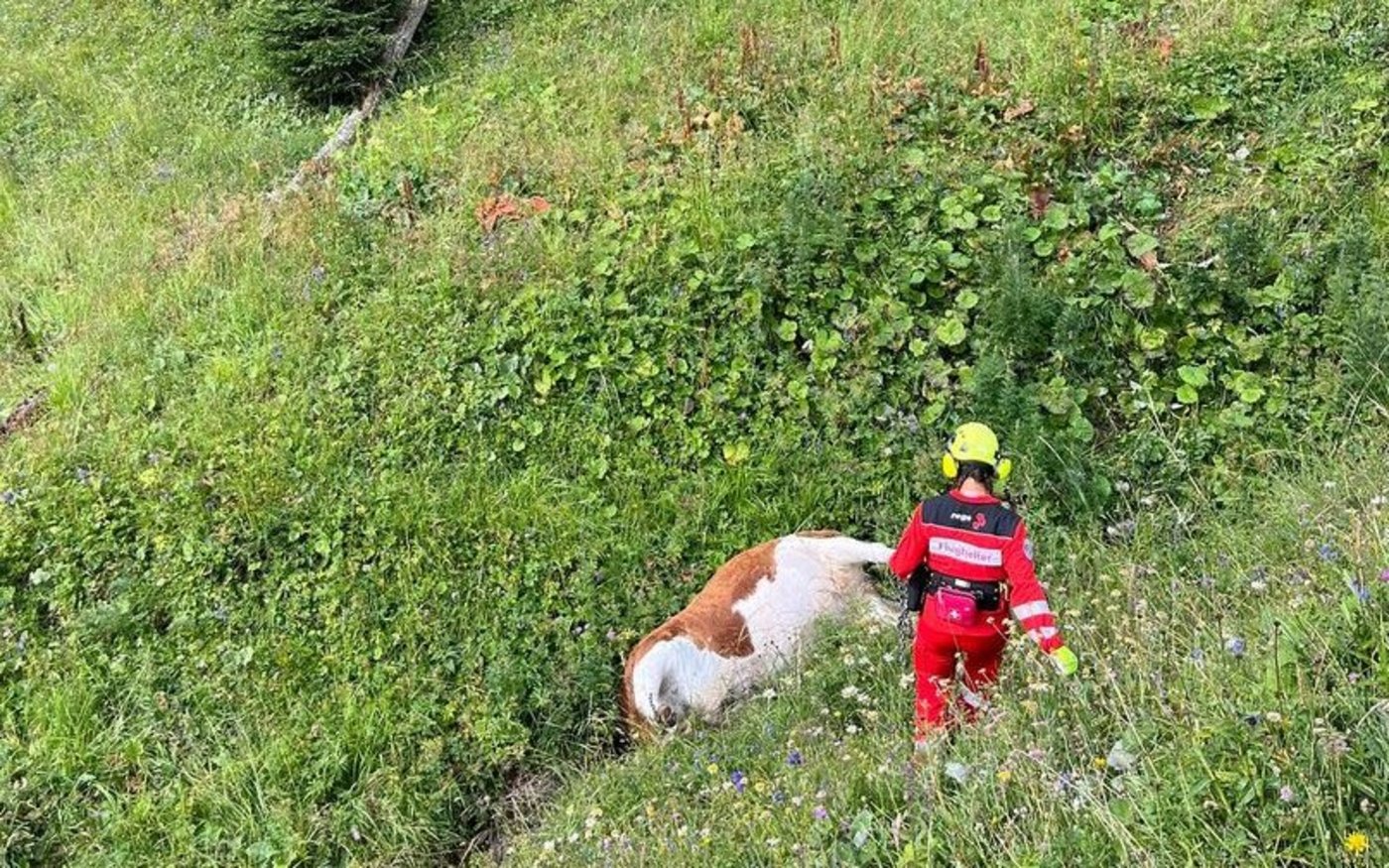 Die Flughelferin trifft am steilen Unfallort ein. Dort bringt sie die Kette am Hinterbein des toten Tieres an.