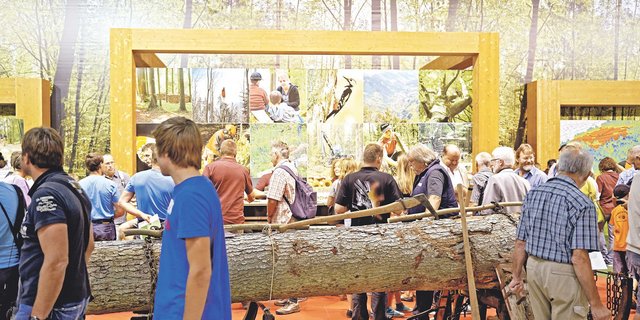 Die Besucher dürfen sich wiederum auf viele Höhepunkte freuen. (Bild zVg)