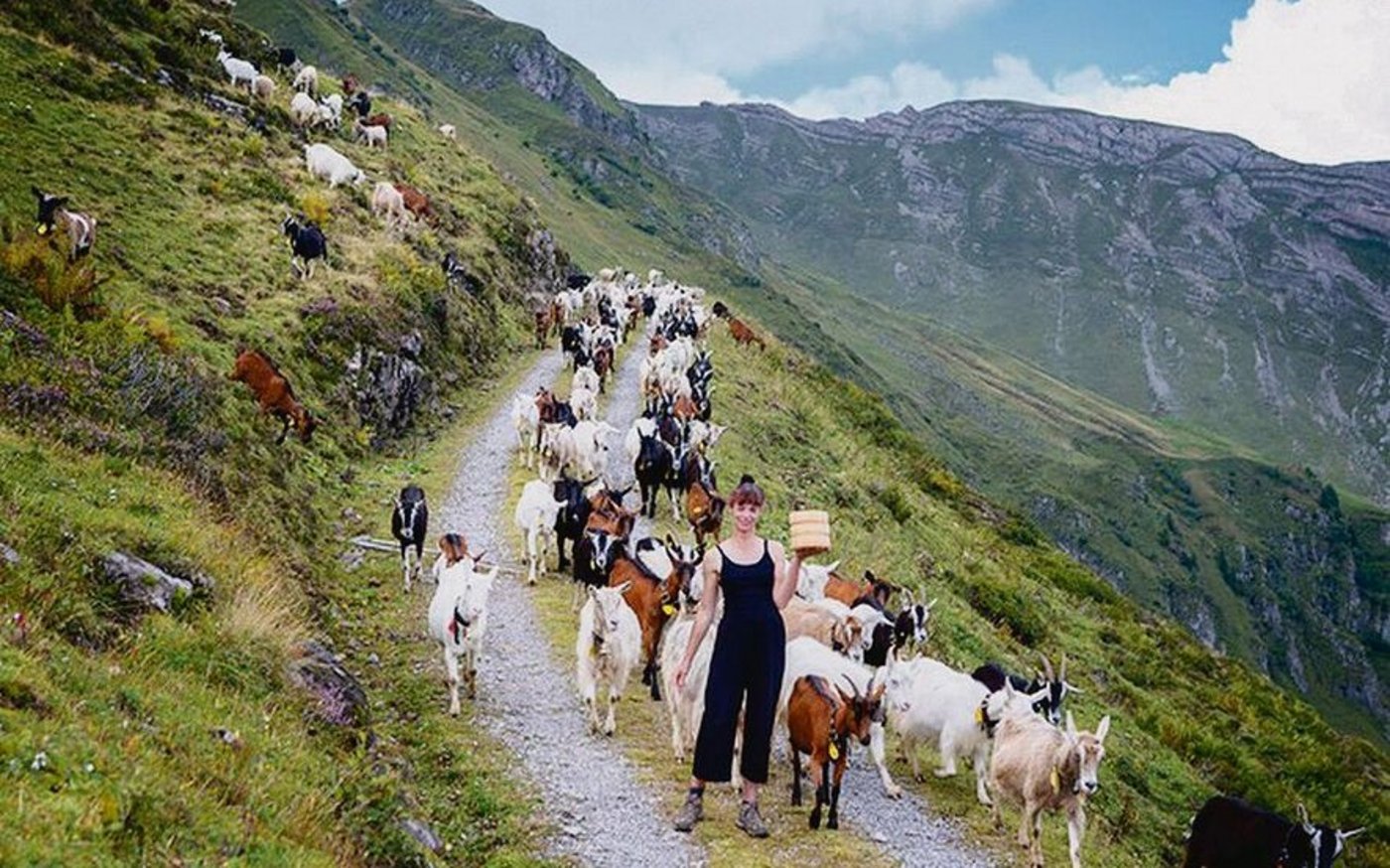 Marlene Kelnreiter verbringt den Sommer gemeinsam mit über 300 Ziegen auf der Alp Malschüel hoch über dem Rheintal.