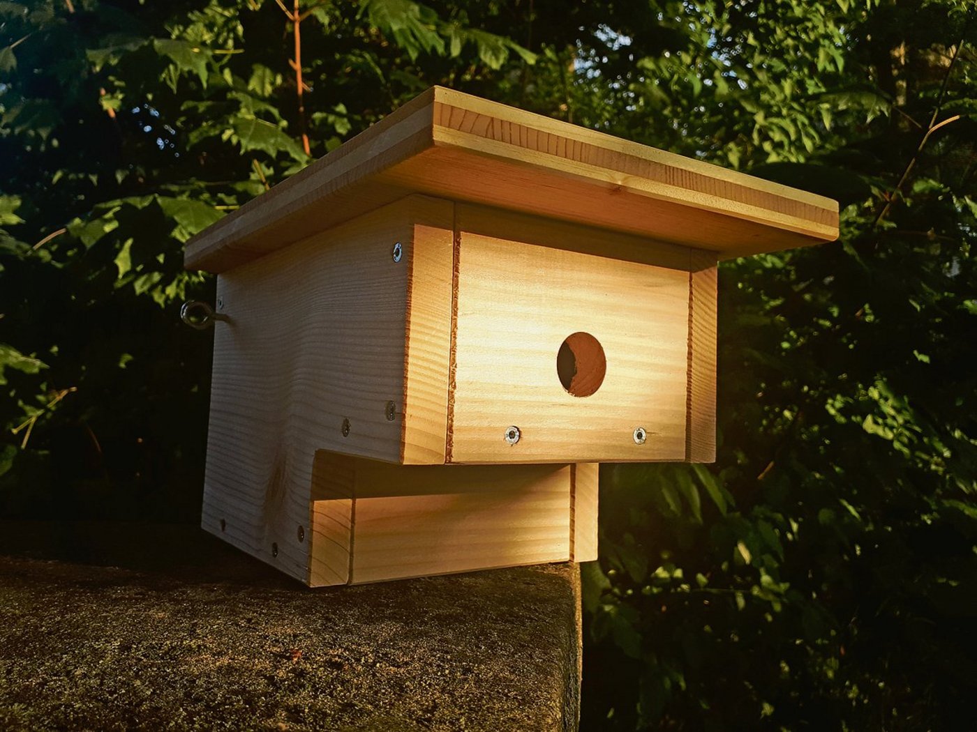 Ein Meisenkasten nach neuer Bauweise. Die Brut ist durch die Vertiefung noch besser vor Räubern geschützt.(Bild sb)