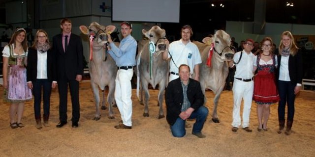 Grand Champion und Schöneuter alt: Jongleur Elisa, Adrian Arpagaus, Falera (Mitte). Reserve-Grand-Champion und Reserve Schöneuter alt: Plantahof’s Zeus Palma, LBBZ Plantahof, Landquart (rechts). Mention honorable: Jongleur Silvana, GoldHill Genetics, Romoos (links). (Bilder Mario Tosato)