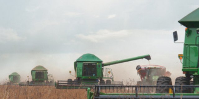 Der Anbau von Futtersoja kann schwere ökologische und soziale Nebenwirkungen haben. Hier müssten Sojahändler ihre Verantwortung wahrnehmen, so der WWF. (Bild Yannik Andrea / Soja Netzwerk Schweiz) 