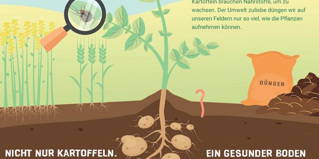 Die Tafeln sollen den Konsumenten die Kartoffel näher bringen. (Bild Swisspatat)