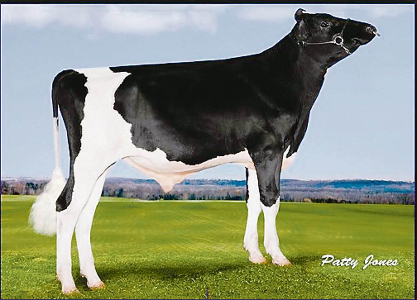  Lindenright Megawatt(Lindenright Bradnick Moovin On)