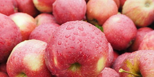 (Bild © agrar-press)