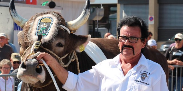 Urs Nussbaumer ist ganz vernarrt in seinen Stier. (Bild Hans Rüssli)